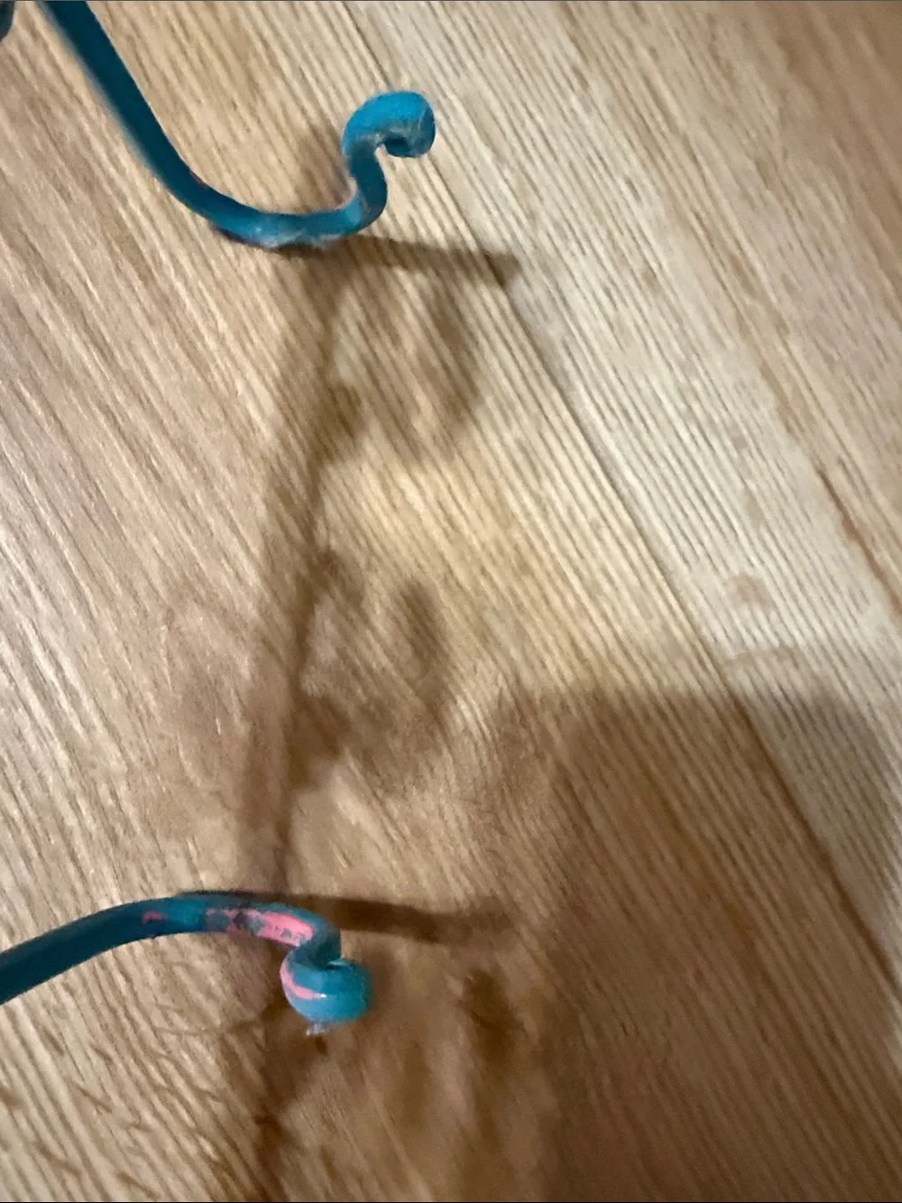 Princess Wall 5 Hook accessory hanger - turquoise